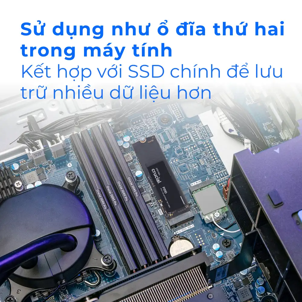 Ổ cứng SSD NVMe Crucial P310 1TB M.2 PCIe Gen4 x4 | R/W: 7100/6000 Mbps
