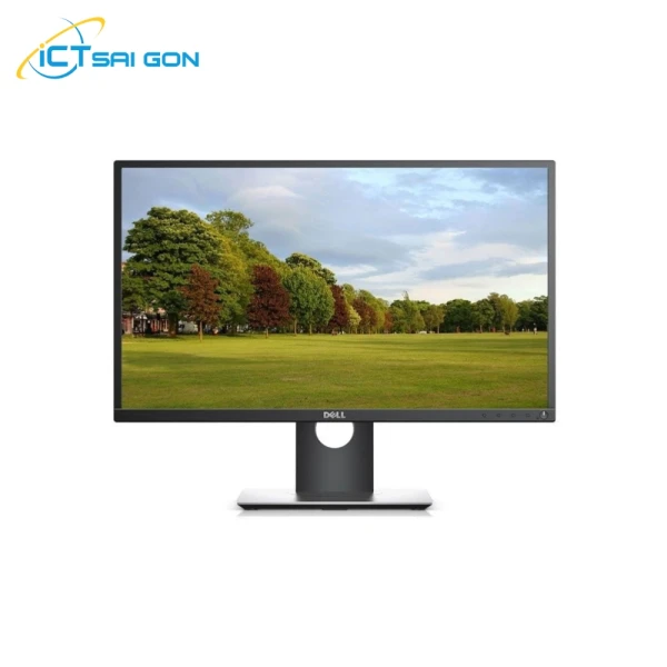 Màn hình Dell P2417H 23.8 inch FHD (Đã qua sử dụng)