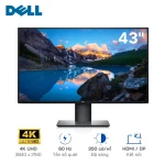 Màn hình Dell Ultrasharp U4320Q 43 inch 4K IPS 42MU4320Q