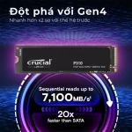 Ổ cứng SSD NVMe Crucial P310 2TB M.2 PCIe Gen4 x4 | R/W: 7100/6000 Mbps
