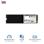 Ổ cứng SSD YMTC PC300 256GB NVME Gen 4 - Tốc độ đọc/ghi 3900/ 2000 MB/s