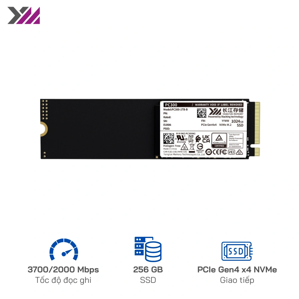 Ổ cứng SSD YMTC PC300 256GB NVME Gen 4 - Tốc độ đọc/ghi 3900/ 2000 MB/s